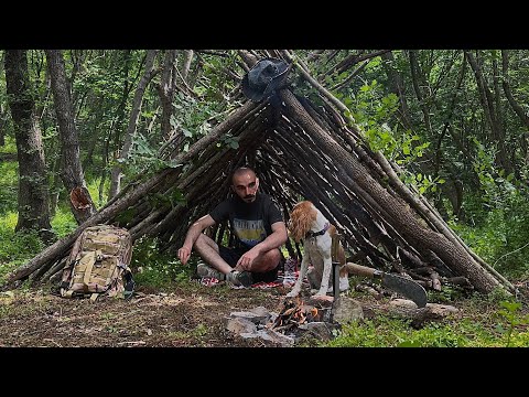 ტყის სახლის გაუმჯობესება - მარტო ტყეში ტაისონთან ერთად !